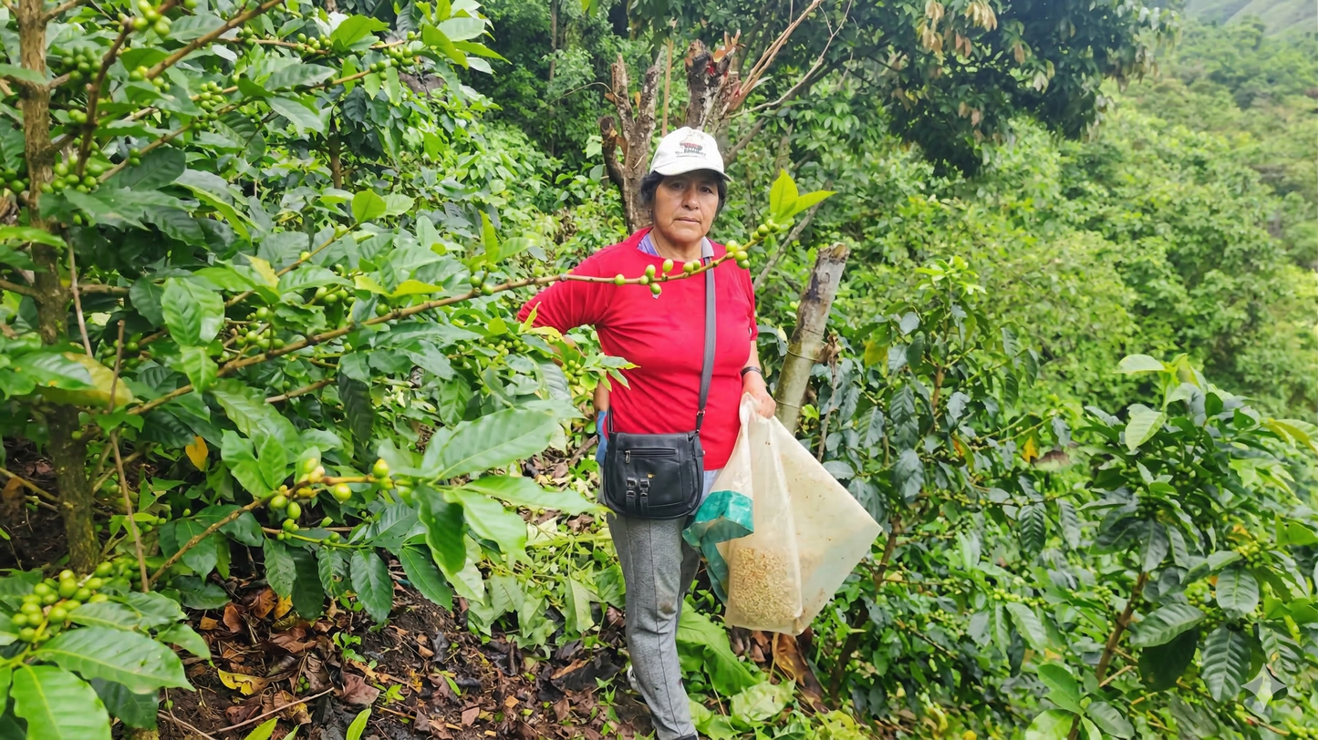 AURORA HUAMAN in a red shirt standing among coffee trees holding a bag of harvested coffee beans.
