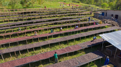 Rwanda, Muhazi, Gatsibo- Humure Washing Station